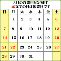 ���[���h�S���t�c�ƃJ�����_�[